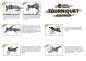 Preview: RHINO RESCUE TOURNIQUET MIT ALUMINUM-KNEBEL SCHWARZ